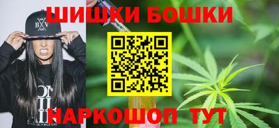 индика Жуковский
