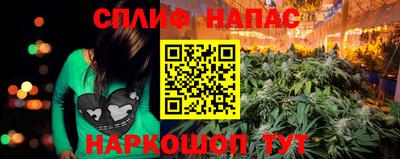 индика Жуковский