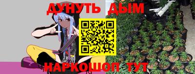 прущие грибы Усть-Джегута