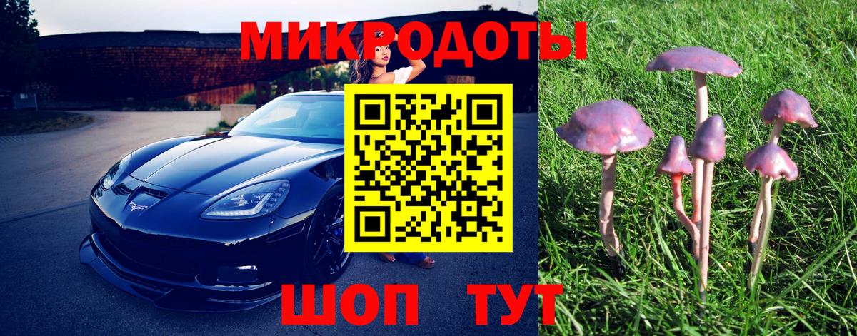 Галлюциногенные грибы Psilocybe  Псилоцибиновые грибы Psilocybe  Ленинск-Кузнецкий  купить закладку  Вход с VPN 
